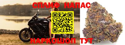 СК Камень-на-Оби