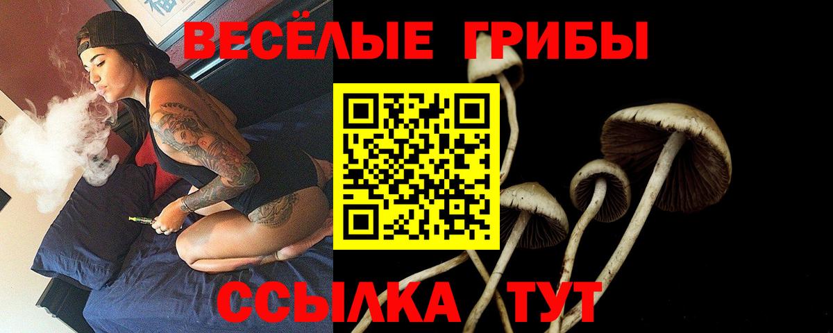 Псилоцибиновые грибы Magic Shrooms Белая Калитва